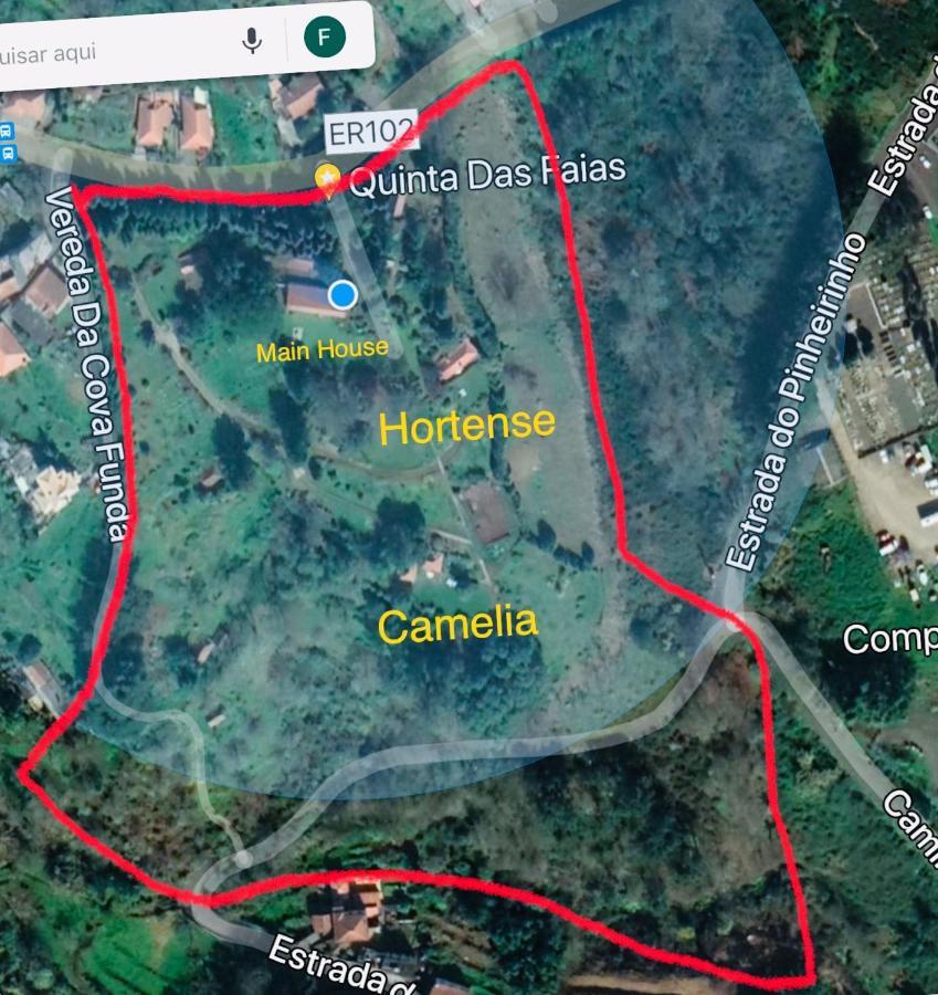 Quinta Das Faias Камаша Экстерьер фото