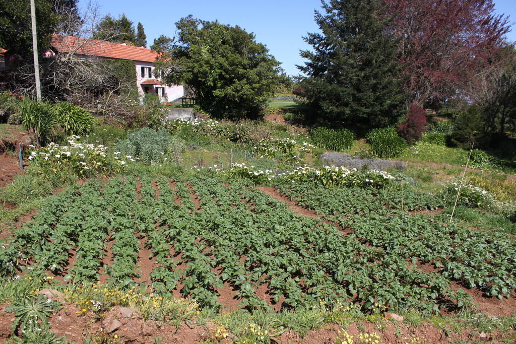 Гостевой дом Quinta Das Faias Камаша Экстерьер фото