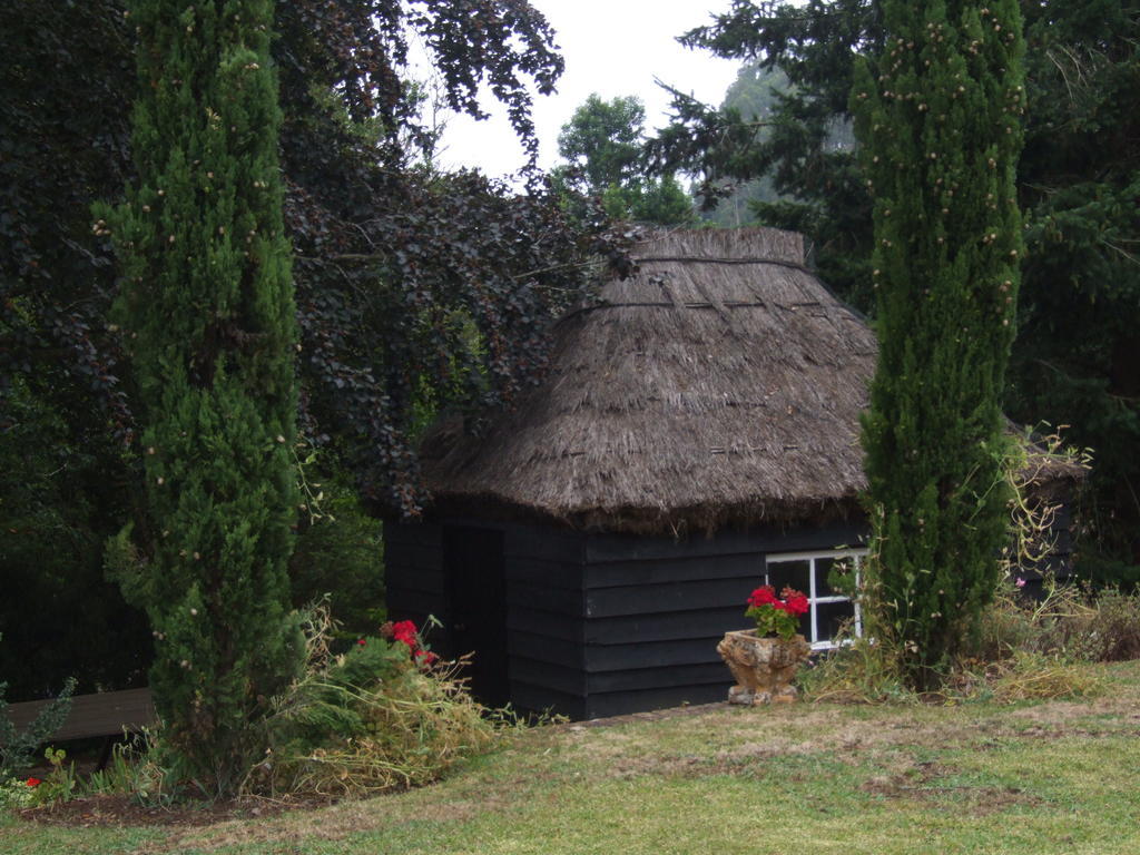 Quinta Das Faias Камаша Экстерьер фото