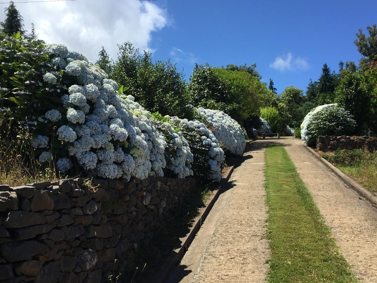 Quinta Das Faias Камаша Экстерьер фото