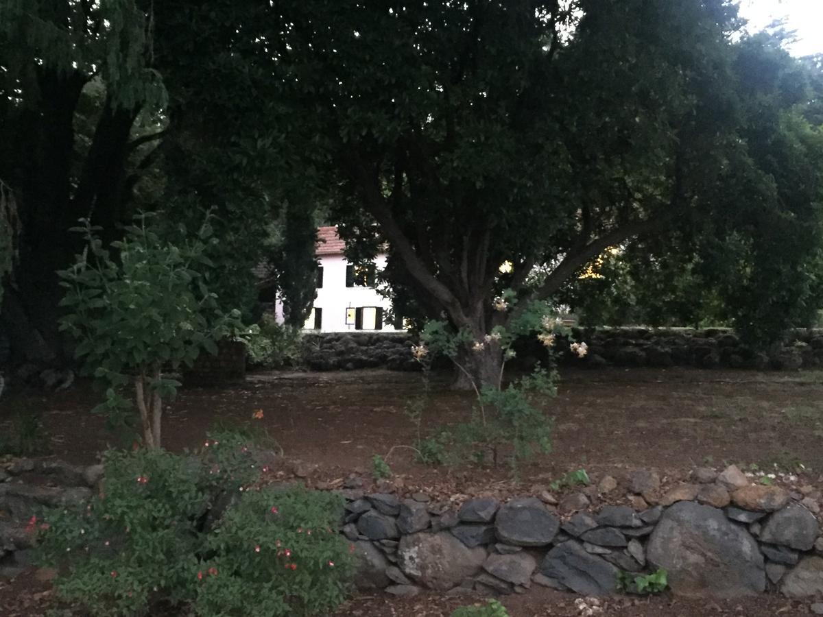 Quinta Das Faias Камаша Экстерьер фото