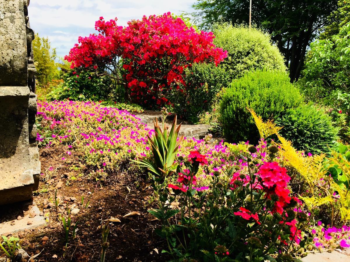 Quinta Das Faias Камаша Экстерьер фото