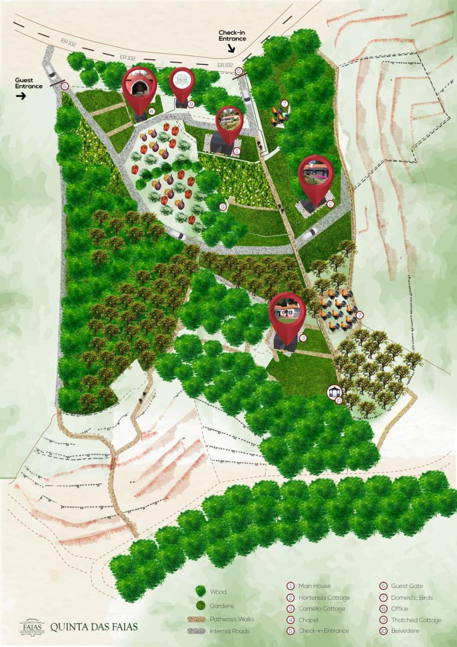 Quinta Das Faias Камаша Экстерьер фото